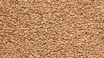 Солод пшеничный Wheat malt (Финляндия), 1 кг